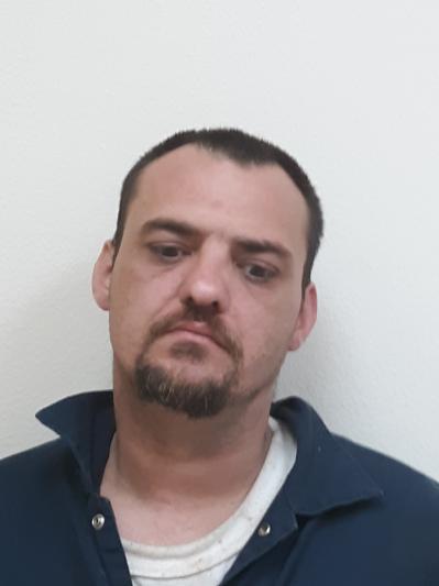 Justin Wayne Morgan (click image for larger version)